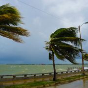Hurricane/Windstorm Claims